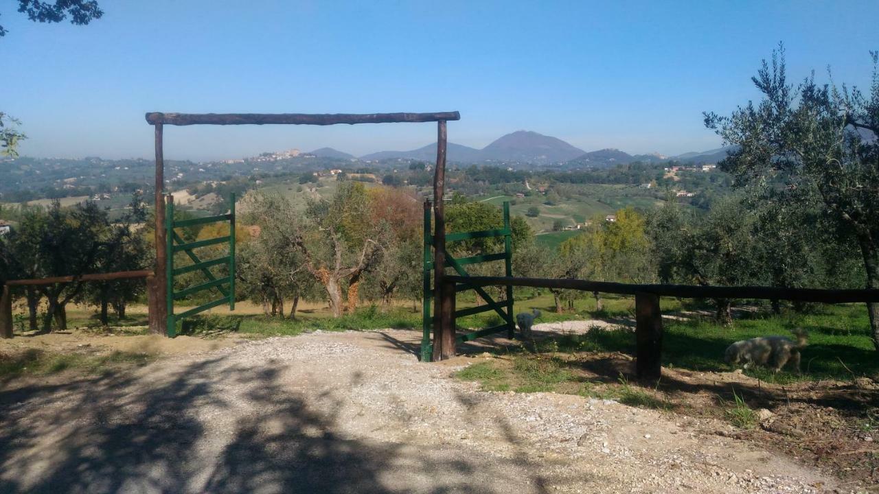 Gasthaus Baduerughe Poggio Mirteto Exterior foto